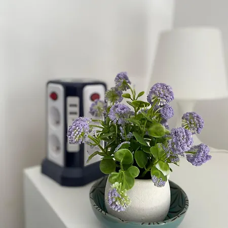 Apartmán 29, Centrum - Nadmorska 26