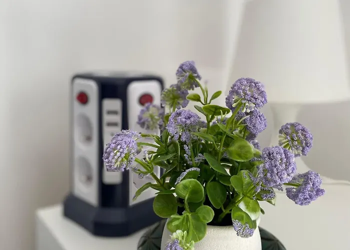 公寓 29, Centrum - Nadmorska 26